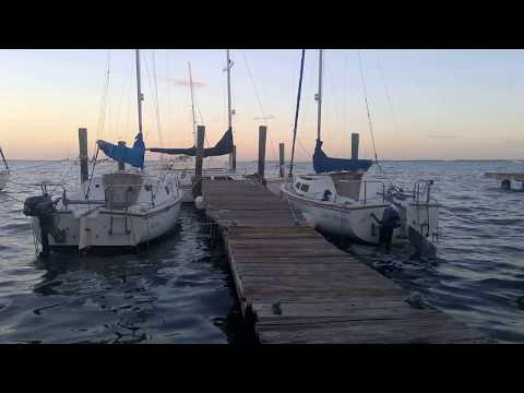1 Hour of Relaxing Ocean Sounds - Masts Squeaking, Seagulls Chirping, Waves Rocking Docked Boats