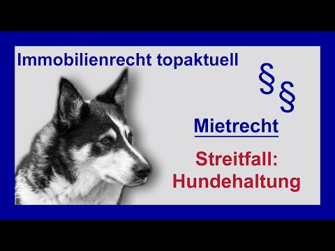 Hundehaltung - Vermieter kündigt Mieter. Darf er das? | Tutorial