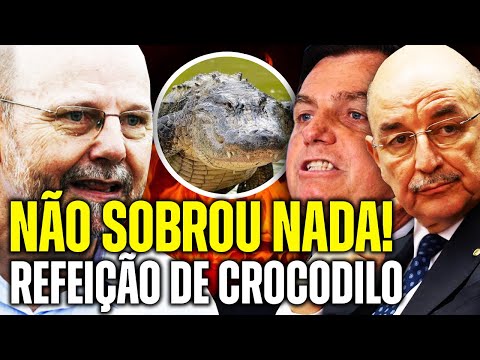 DEP. BOHN GASS JOGOU BOLSONARISTA OSMAR TERRA AOS CROCODILOS! FOI DEVORADO RAPIDAMENTE!!