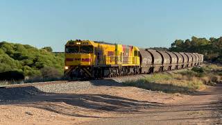 Trains in Western Australia: Chasing a Grain Train to Mingenew
