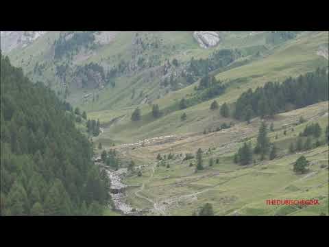 NELLA VALLE C'E' UNA MANDRIA DI MUCCHE, COLLE DELLA MADDALENA (CN) VALLE STURA. LUN. 19 - 7 - 2021.