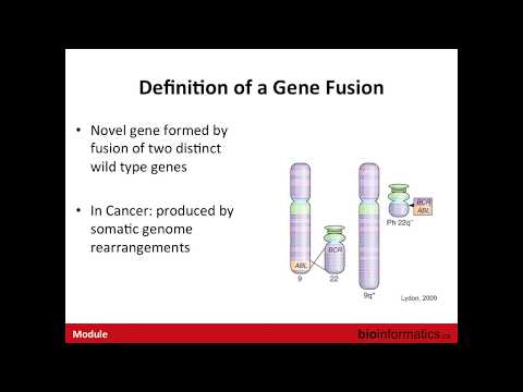 Gene Fusion and Rearrangments