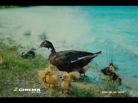 First Look: Nikon ZR R3D Footage Test