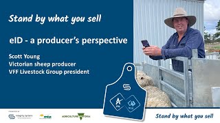 WEBINAR: Victorian sheep producer Scott Young talks sheep eID