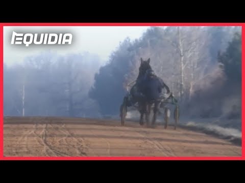 PRIX D'AMÉRIQUE 2019 : DÉLIA DU POMMEREUX, "CETTE JUMENT C'EST MA VIE"