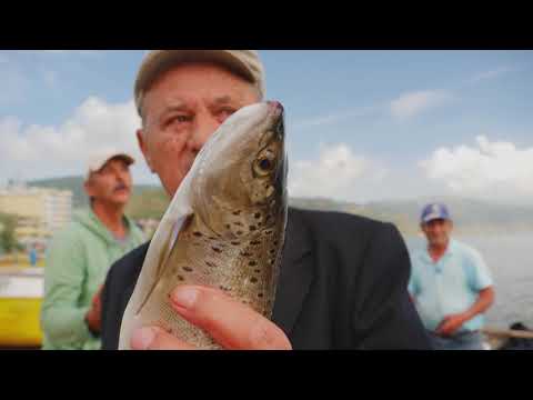 Pearl in a plastic bag