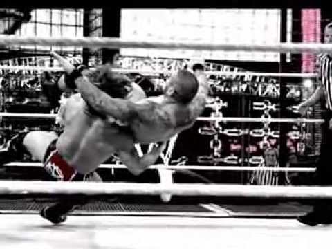 Triple H vs Daniel Bryan special Promo with 30 Seconds To Mars up in the air song