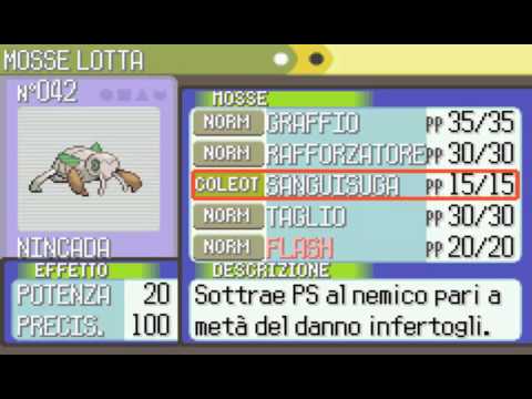 Guida Pokemon Rubino - Parte #4 - Il Sig. Marino, Bluruvia e Rocco