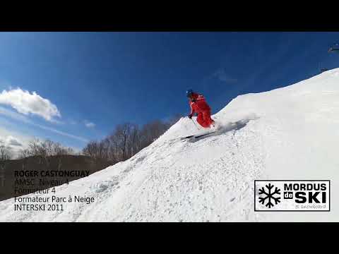 🎯🎯 ==== CAPSULE - CONSEIL # 7 : Les Bosses ....  par Mordus de Ski  ===== 🎯🎯