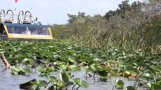 preview picture of video 'Florida trip'