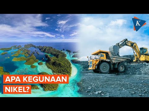 Apa Itu Nikel dan Apa Fungsinya untuk Kehidupan?