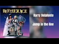Beetle Juice Soundtrack Jump In Line Shake Shake Señora Harry Belafonte In 432Hz