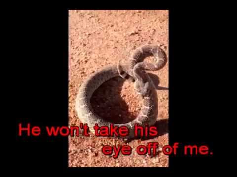 My Morning Mohave Rattler