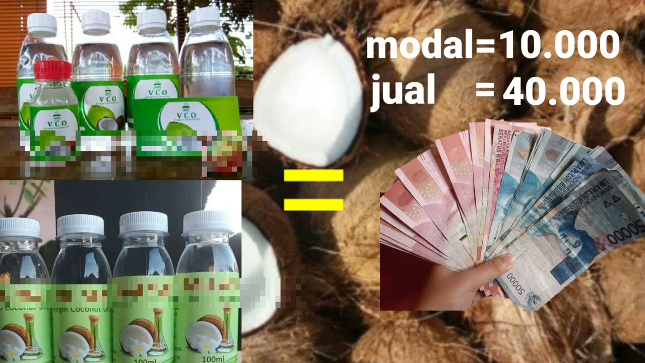 side business opportunity making VCO (pure coconut oil)