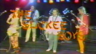 Gotta Tell Me Why - The Slickee Boys  (1985)