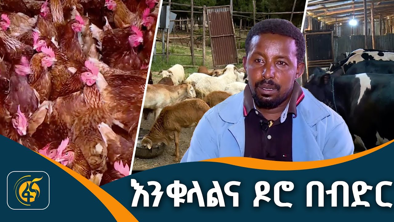 የሌማት ትሩፋት በአዲስ አበባ