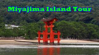 Miyajima Island Tour Tips & Ferry Terminal To The Torii Gate, Itsukushima Shrine & Top Attractions.