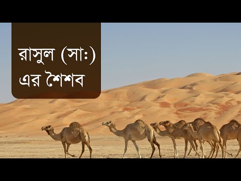 Seerah of Prophet Muhammad 8 - The early childhood of Prophet Muhammed  - Yasir Qadhi Bangla