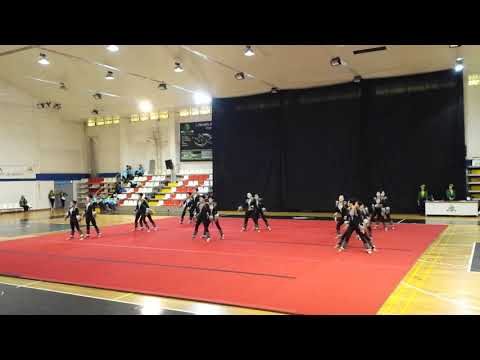 Musical "The Cats" EspecialGym SCP