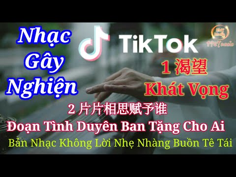 2 Bản Nhạc Gây Nghiện Tiktok Hiện Nay | 渴望 Khát Vọng | 片片相思赋予谁 | Đoạn Tình Duyên Ban Tặng Cho Ai