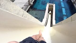 Leap of Faith Water Slide at Atlantis the Palm Dubai