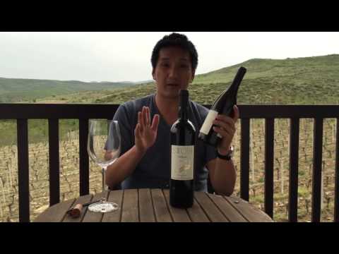 Wines of North Macedonia: Tikveš Bela Voda and Stobi Syrah