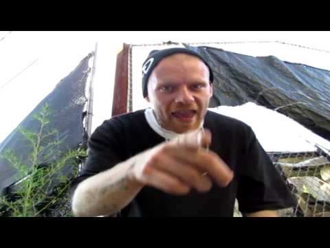 Draztik - Come Play With Me