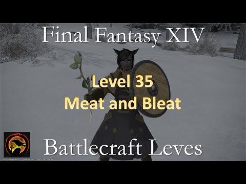 FF14 - Meat and Bleat - Battlecraft Leves - Level 35