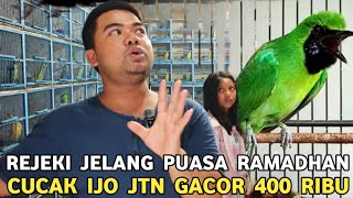Download lagu REJEKI SI BAPAK GANTENG || NEMU CUCAK IJO BIG JANTAN GACOR CUMA 400 RIBU FI PASAR BURUNG PRAMUKA  mp3