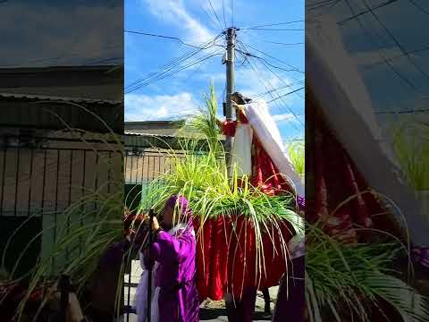 Domingo de Ramos - Colonia América, San Salvador 2026.