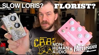 Video thumbnail for Slow Loris?  Florist?  What's the difference?   // Non-Human Audio & Benson Amps by Non-Human Audio