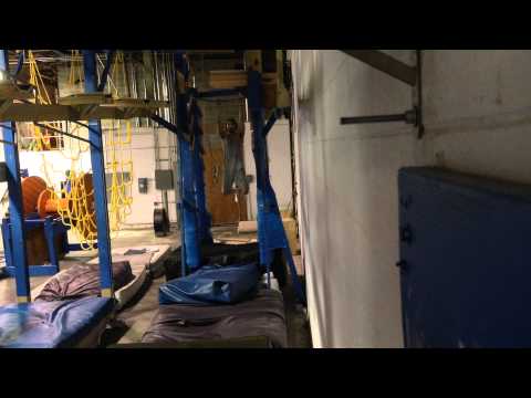 salmon ladder transfer flying bar