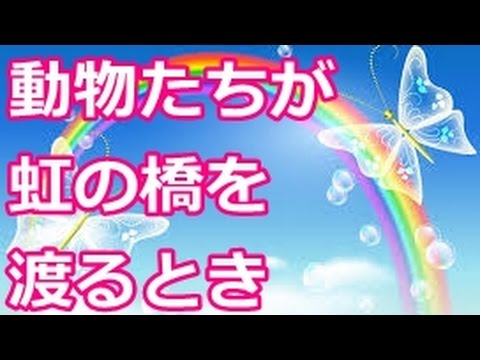 ラ・コナー 32328.JPG