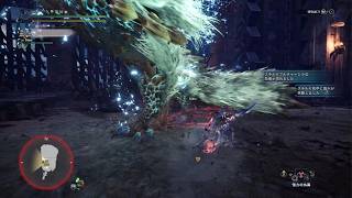モンスターハンターワールド：アイスボーン_20260810230629