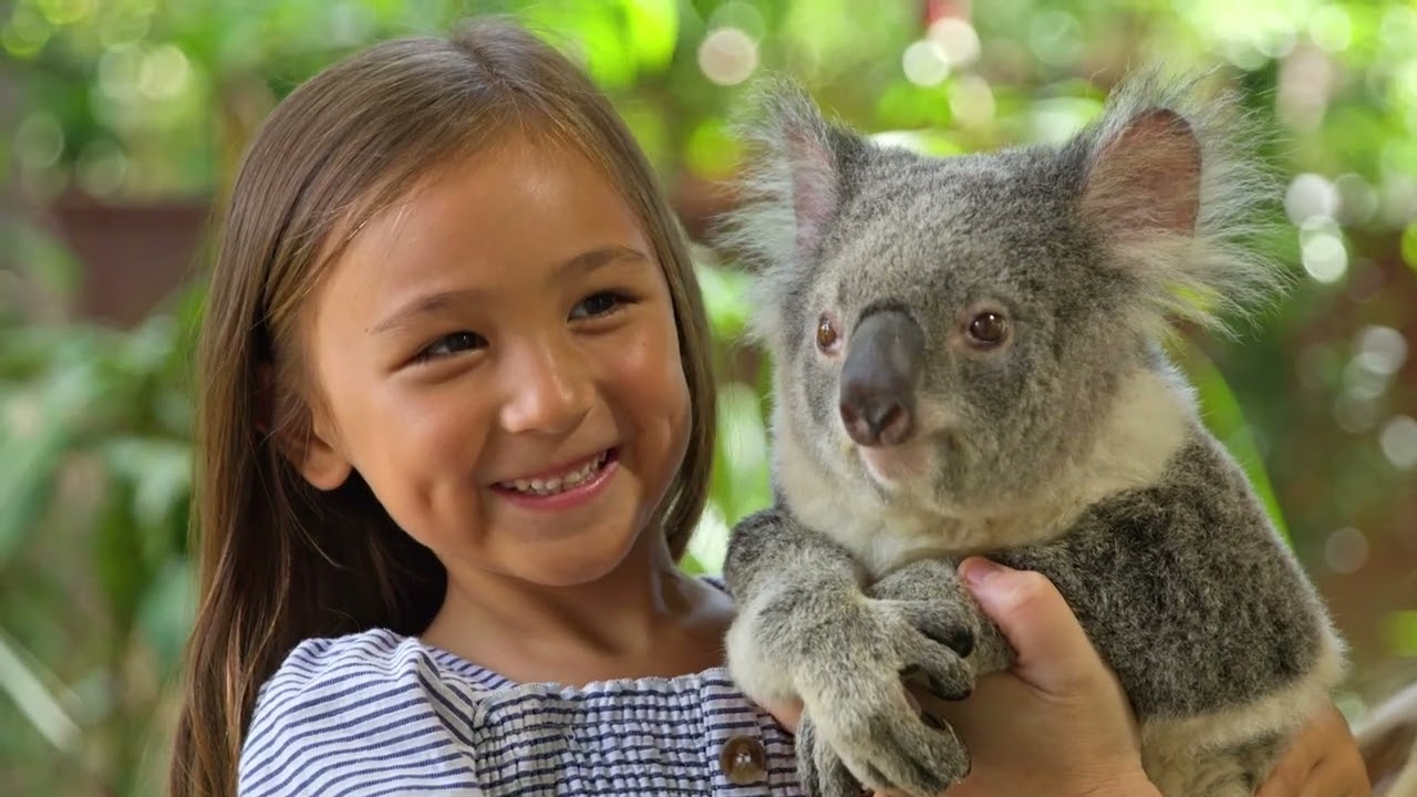 Discover a captivating peek into Currumbin Wildlife Sanctuary.