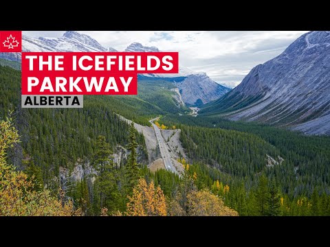 Driving the ICEFIELDS PARKWAY (from Lake Louise to Jasper Alberta)
