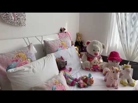 Casas, Venta, Ciudad Country - $550.000.000