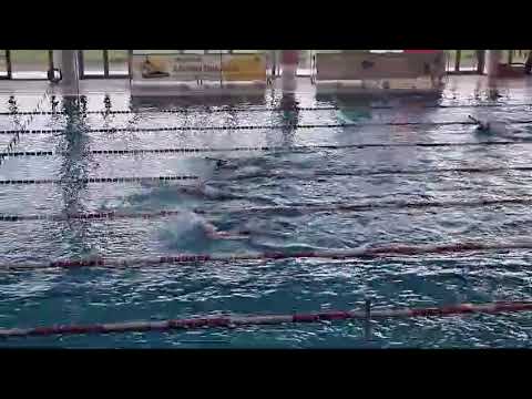 Paolo Zaffaroni 100 farfalla Gussago