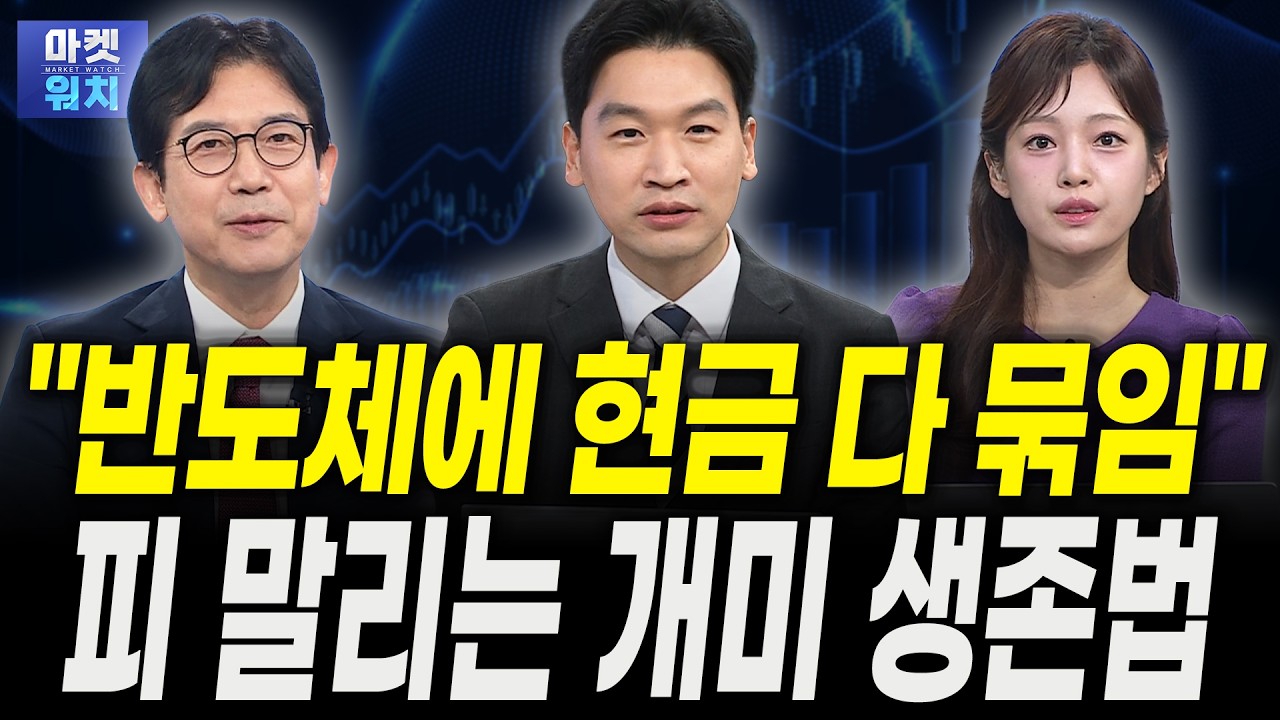 삼성전자·SK하이닉스 PER '4배' 반도체가 이렇게 쌉니다ㅣ강관우 더프레미어 대표