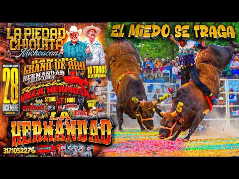 “Donde el Valor se Grita y el Miedo se Traga: La Hermandad Desata el Infierno en La Piedad Chiquita”