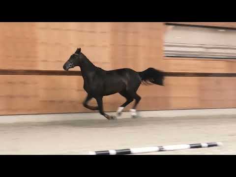 Tialitha video 2