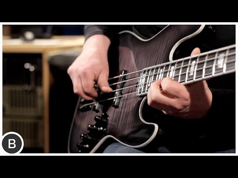 Maruszczyk Elwood Absolution 4p - Black Burst Transparent image 21