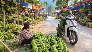 Download lagu Harvesting Huge Bunches of Bananas to Sell in the Village, Sung Luyen Happens to Meet a Police Offic mp3