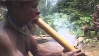 preview picture of video 'Tours-TV.com: Papua New Guinea'