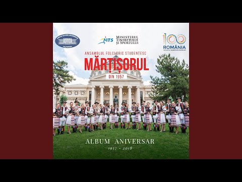 Suită de jocuri din Palatca