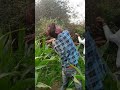 Funny Video Koi Jaye To Le Aaye Trending Song Bollywood
