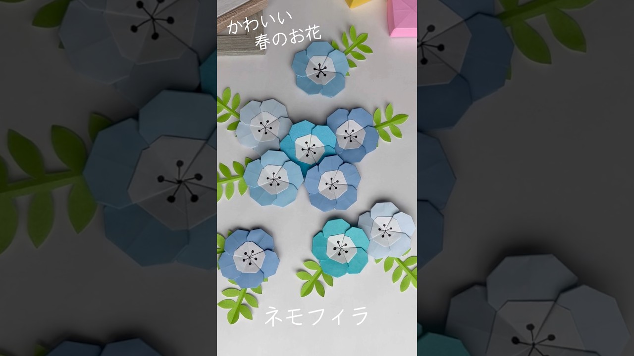 折り紙で作る春のお花『ネモフィラ』  春の飾りに☆ nemophila