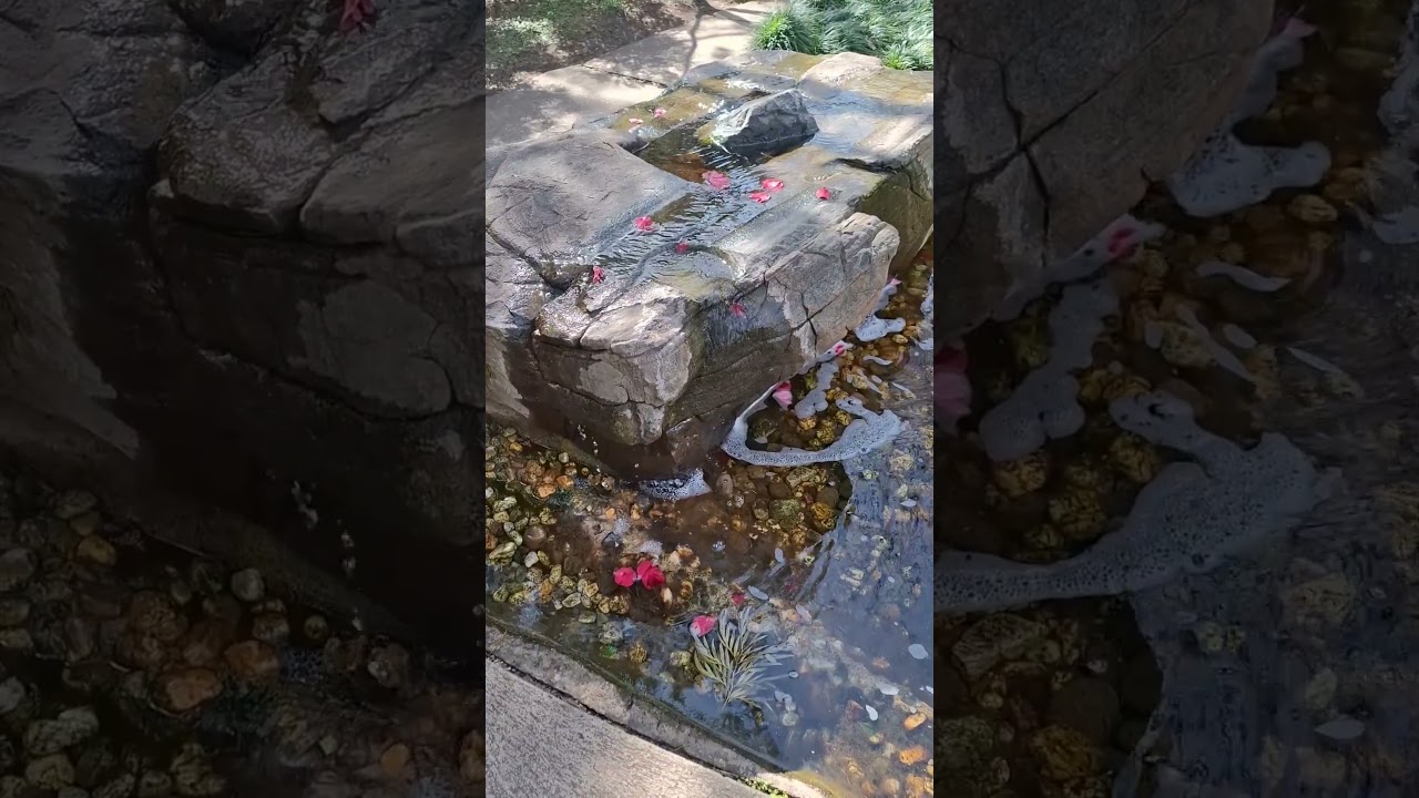 YouTube Short thumbnail