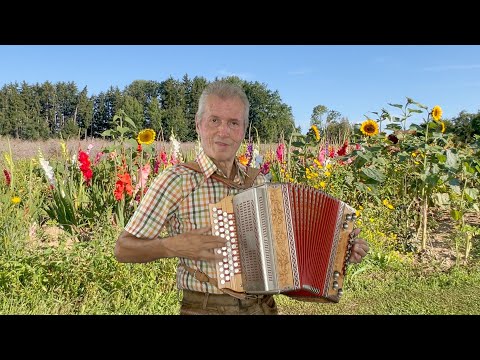 Waldinger Boarischer auf der Steirischen von Gottfried Kletzmair ( A-D-G-C )