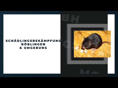 MG Schädlingsmanager GmbH YouTube-Vdeominiatur 6